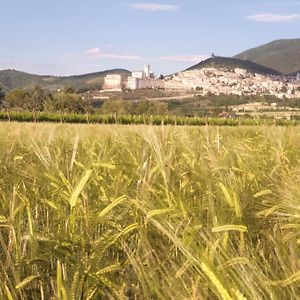 B&B Domus Benedicta